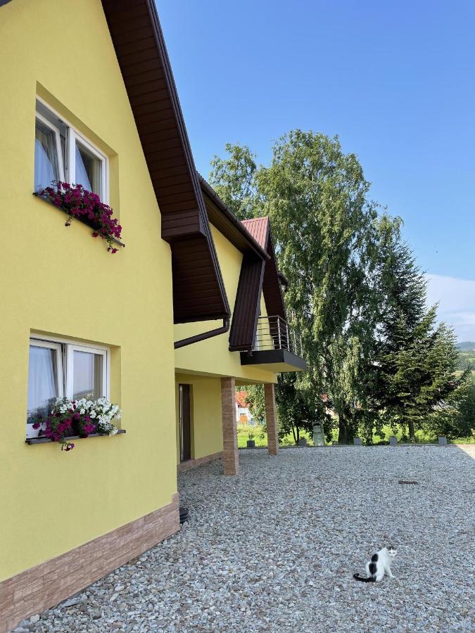 Pokoje Pod Brzozka Debno  Bagian luar foto